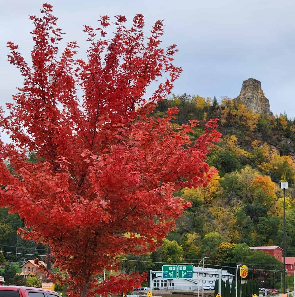 2-23-1-31 sugar loaf autmn colors 2 23 1 31 sugar loaf autmn colors scaled - Winona Journal