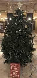 2020-12-08 madisn xmas tree 2020 12 08 madisn xmas tree - Winona Journal