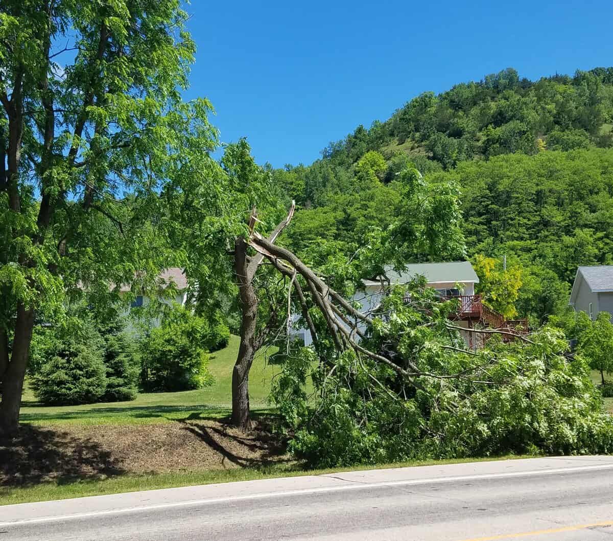 2021-06-18 stocktin tree broken 2021 06 18 stocktin tree broken scaled - Winona Journal