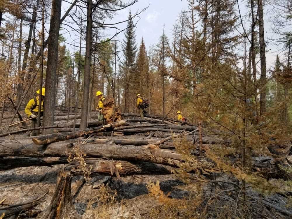 2021-07-19 boundary wildlife crew 2021 07 19 boundary wildlife crew - Winona Journal