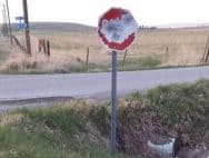 2021-09-07 wabasha stop sign vandal 2021 09 07 wabasha stop sign vandal - Winona Journal