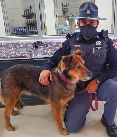 2021-110-03 service dg dog BLACK RVR FLS 2021 110 03 service dg dog BLACK RVR FLS - Winona Journal