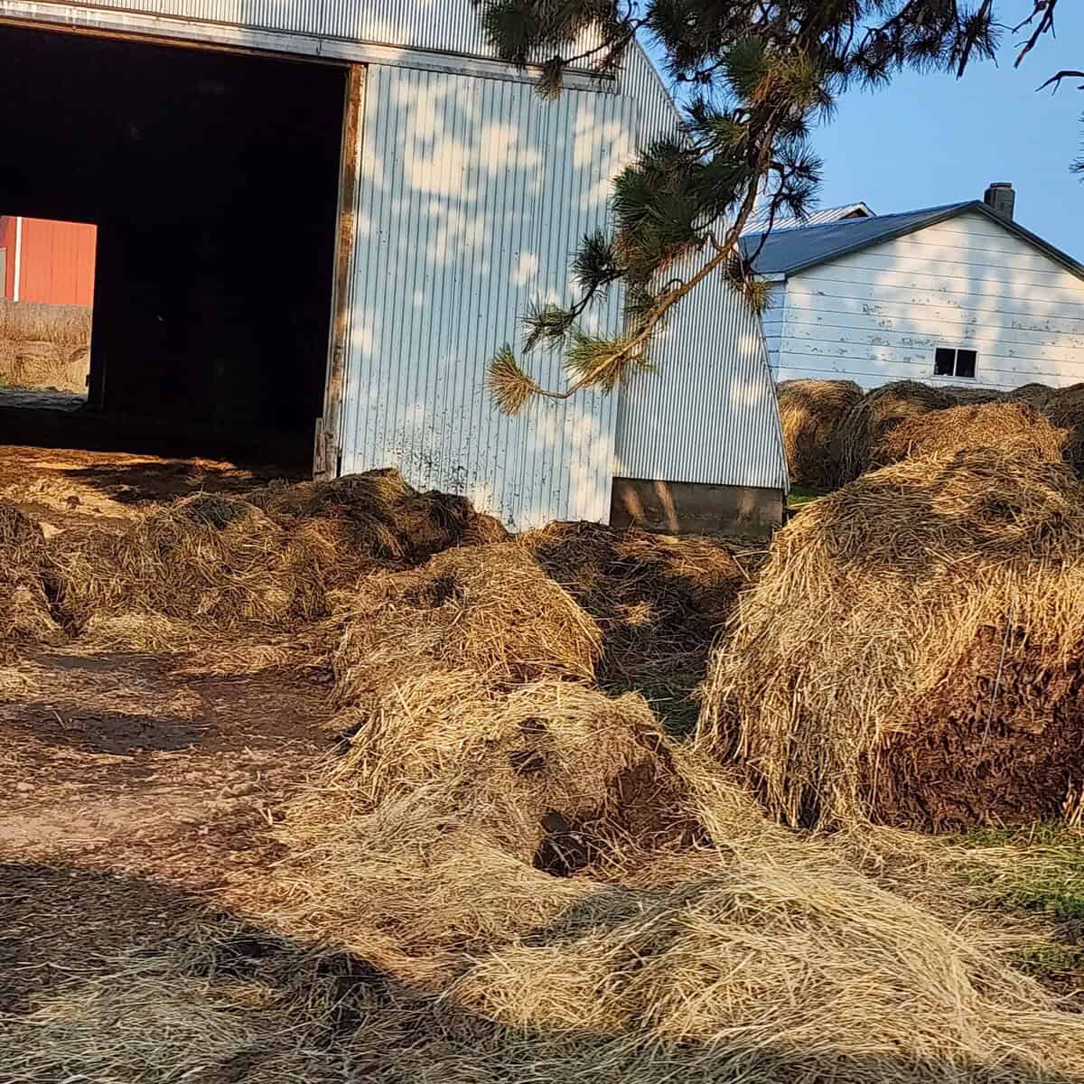 2023-06-22 stone point rd hay fire