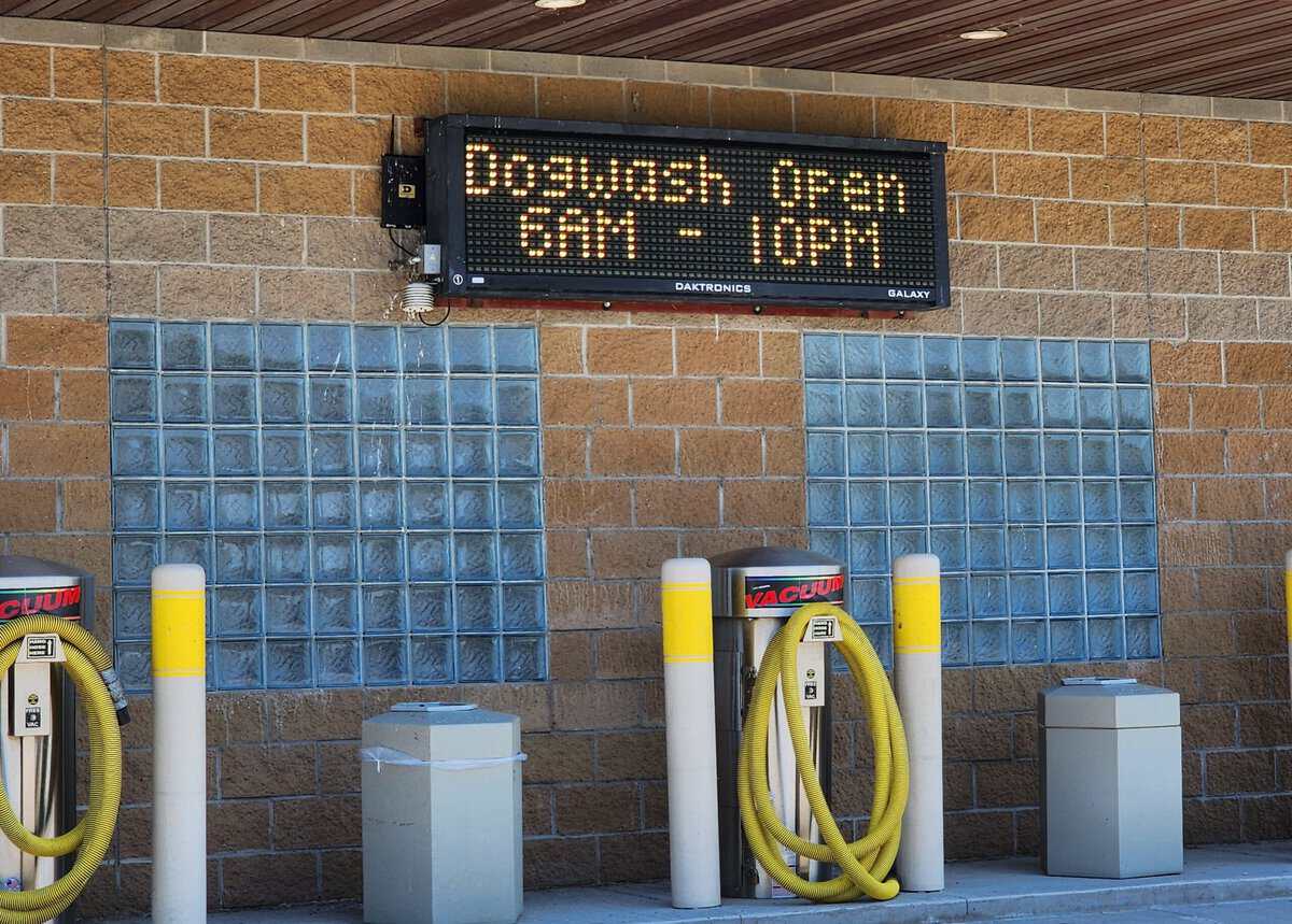 2023-07-xx toads civer dogwash 2023 07 xx toads civer dogwash scaled - Winona Journal