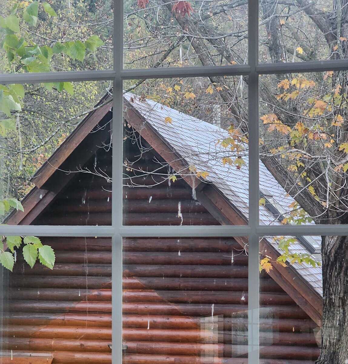 2023-10-10mncabin roof frost 2023 10 10mncabin roof frost scaled - Winona Journal