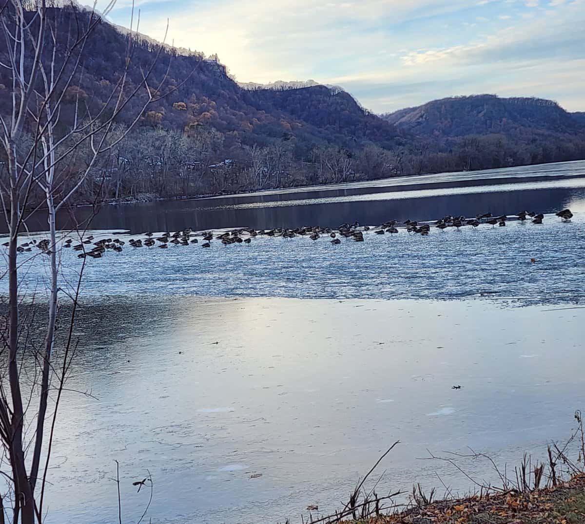 2023-12-01 lake wna geesec ice 2023 12 01 lake wna geesec ice scaled - Winona Journal