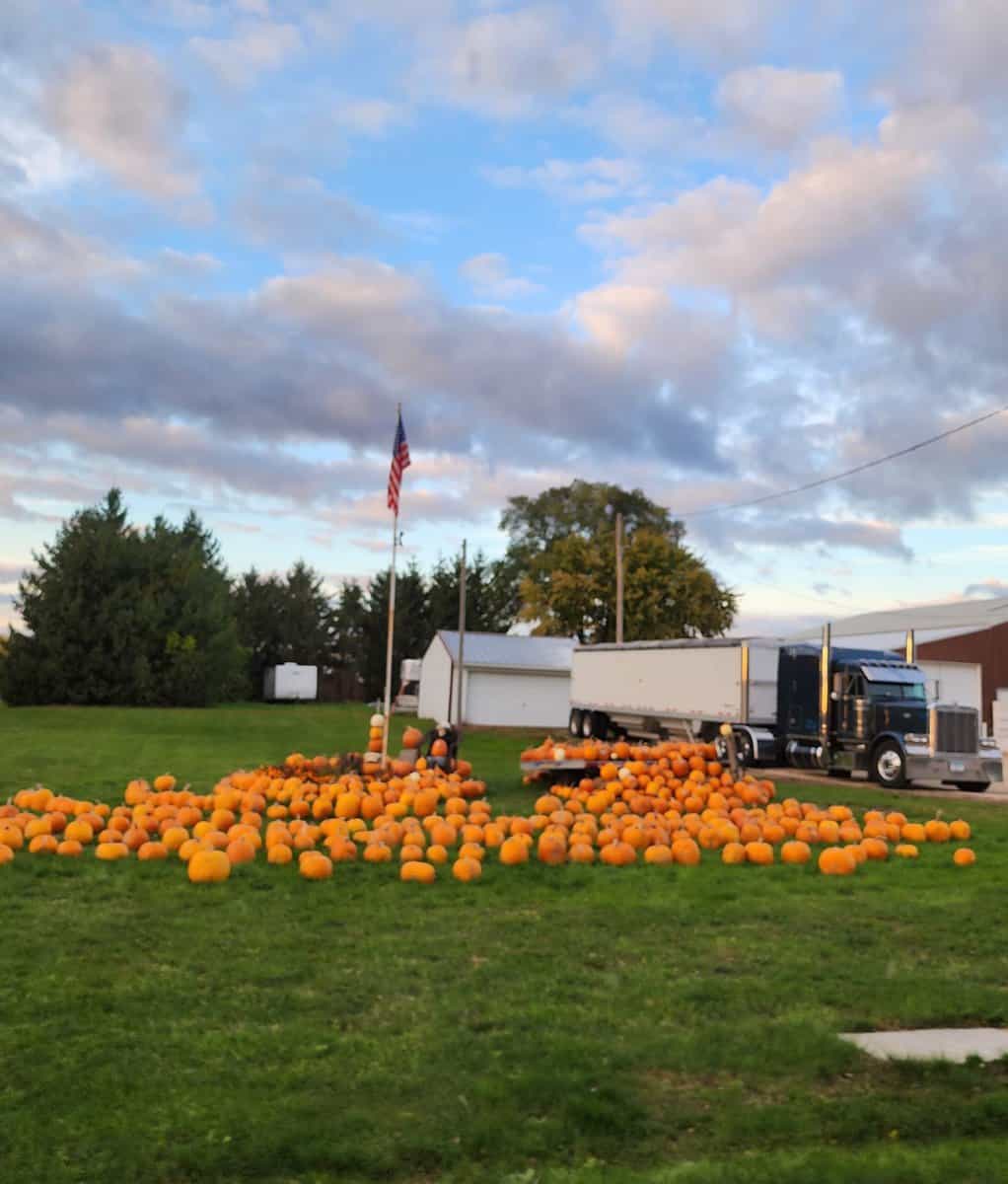 20231015_180332 20231015 180332 scaled - Winona Journal