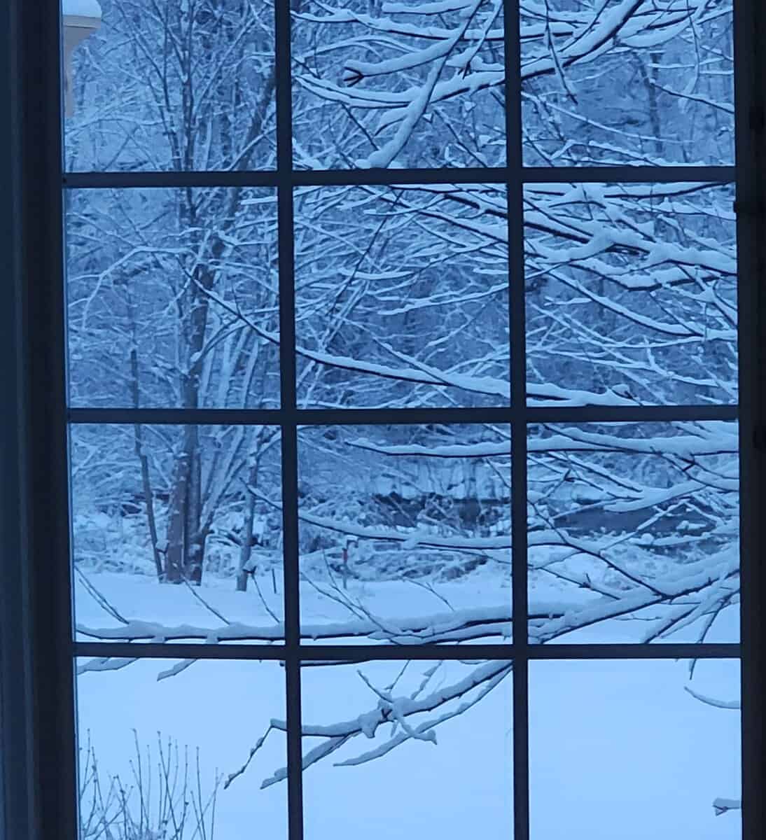 2024-01-09 snow scene WINDOW 2024 01 09 snow scene WINDOW scaled - Winona Journal