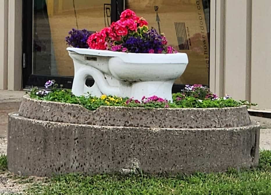 2024-06-17 toilet flowers 2024 06 17 toilet flowers - Winona Journal