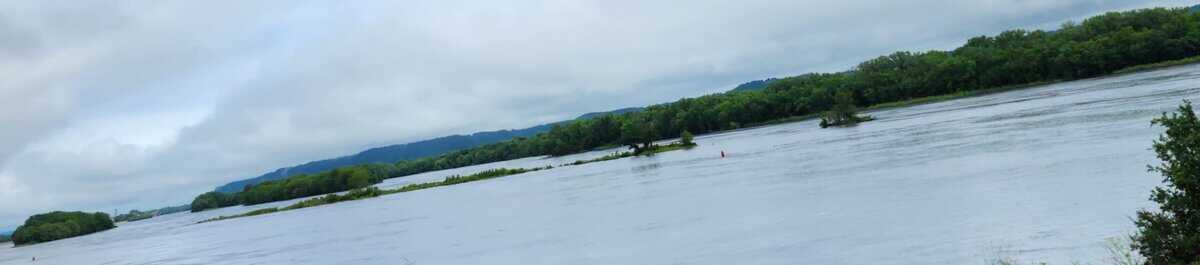 2024-06-22 WNA mosquutonis vlood 2024 06 22 WNA mosquutonis vlood scaled - Winona Journal