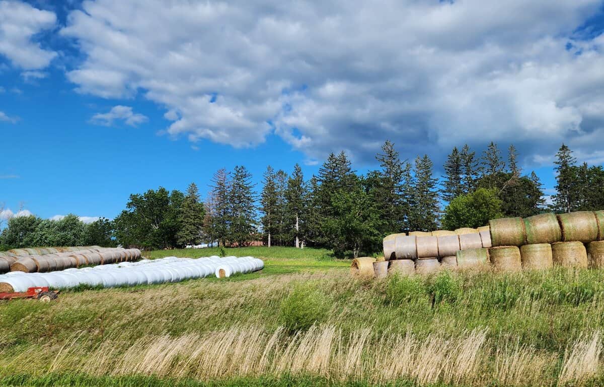 2024-08-24 hay coils ST CHAS