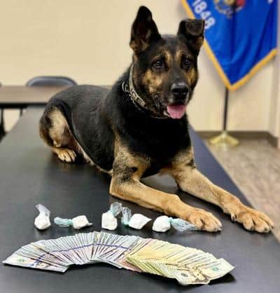 2025 10 11 ARCADIA k9 luke cocaine - Winona Journal