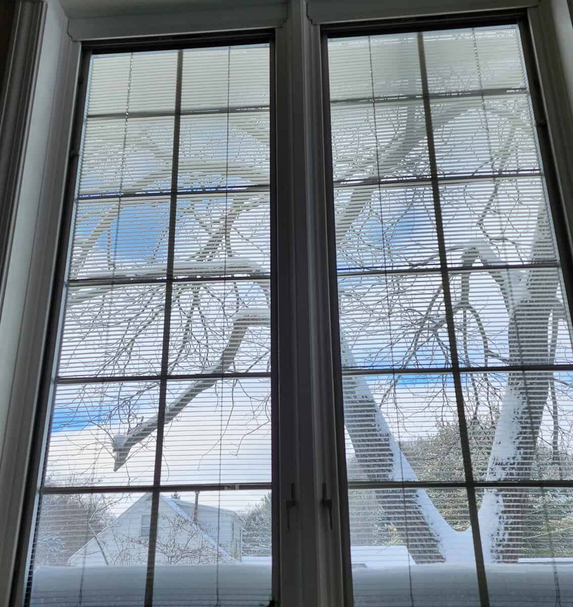 2025-11-30 snow window 2025 11 30 snow window scaled - Winona Journal