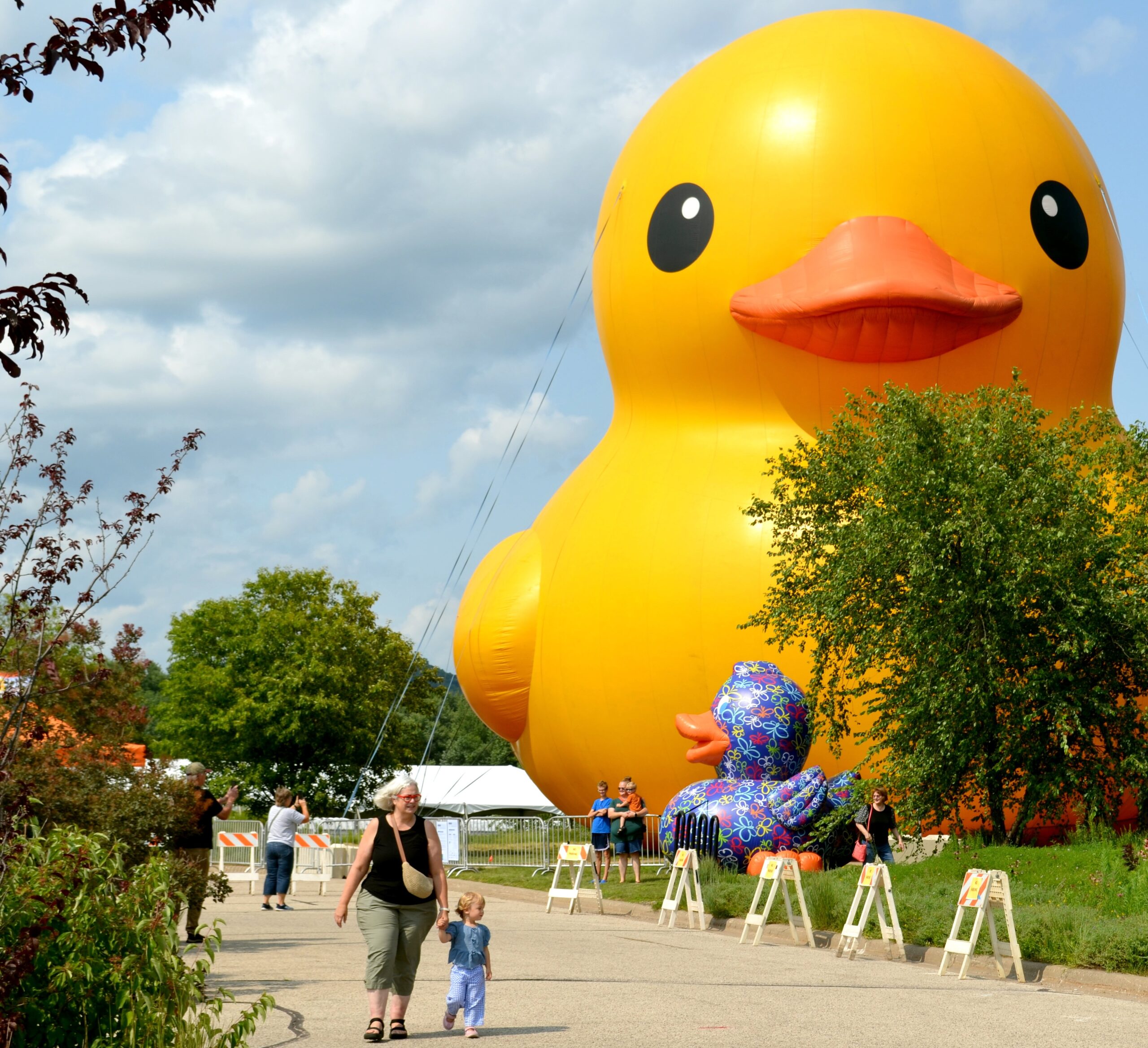 2026-07-24 WNA mmam eebgt DUCK YELLOW 2026 07 24 WNA mmam eebgt DUCK YELLOW scaled - Winona Journal