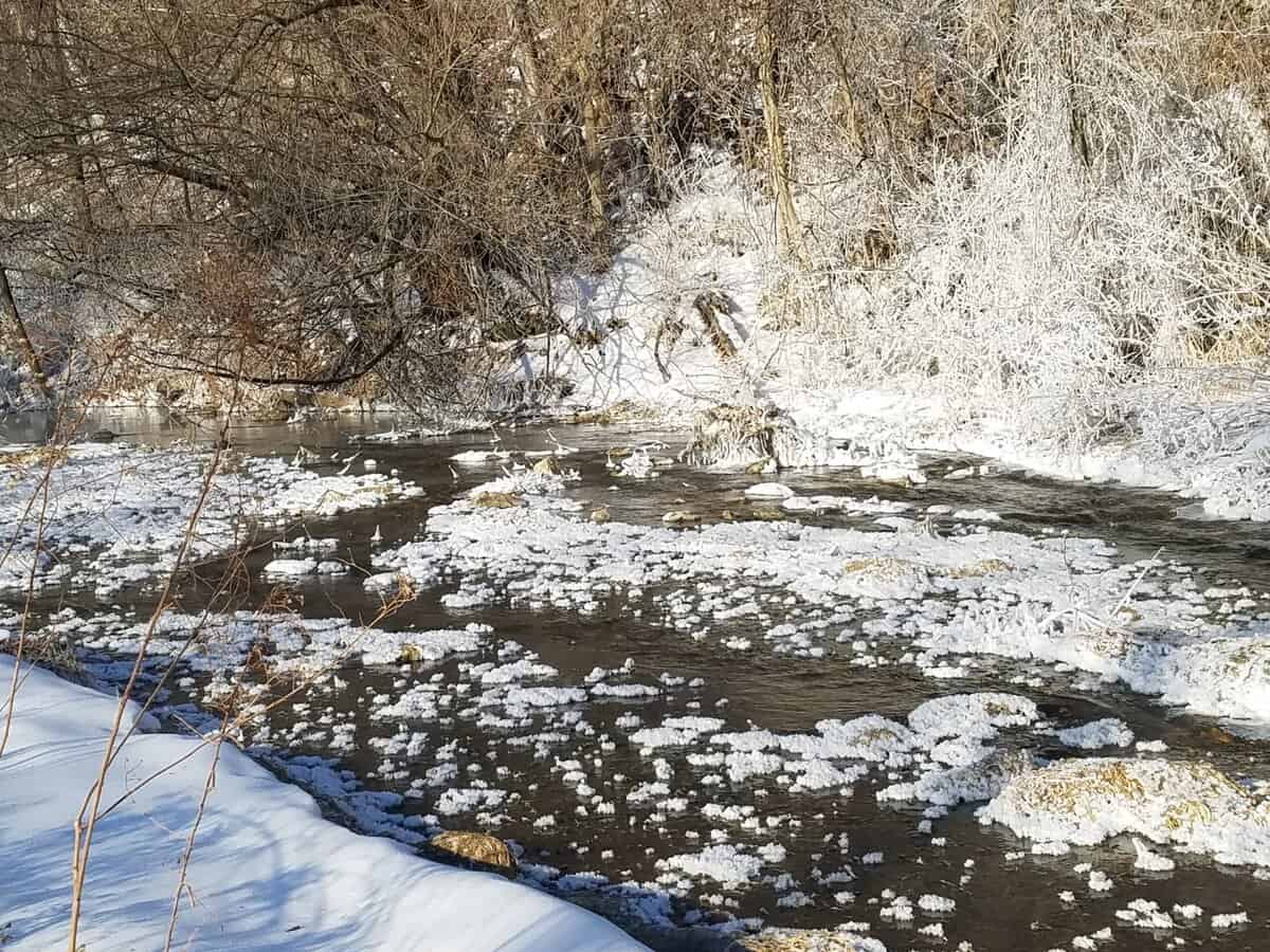 2220-101-20 petersin creek iced 2220 101 20 petersin creek iced scaled - Winona Journal