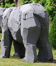 AUER Wolgang pachederm