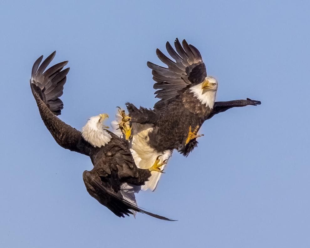 BARTEL brude refuge ohoto BARTEL brude refuge ohoto - Winona Journal