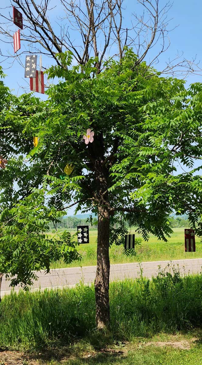 BECKMAN oak JULY 2023 BECKMAN oak JULY 2023 - Winona Journal