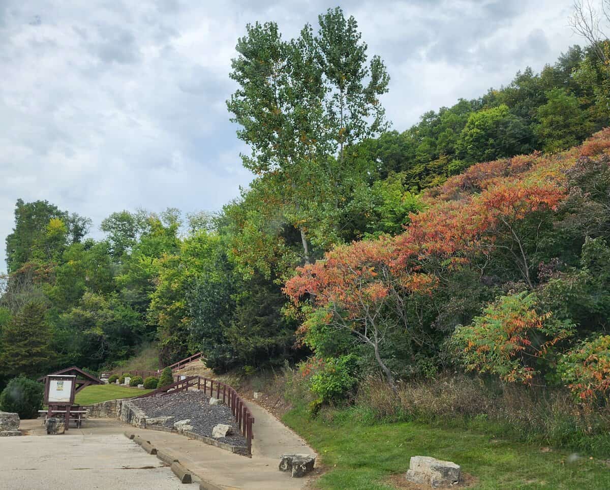 BLUFF SIDING sumac 2025 scaled - Winona Journal