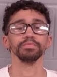 BRADFORD steven anthony DWI 2025 - Winona Journal