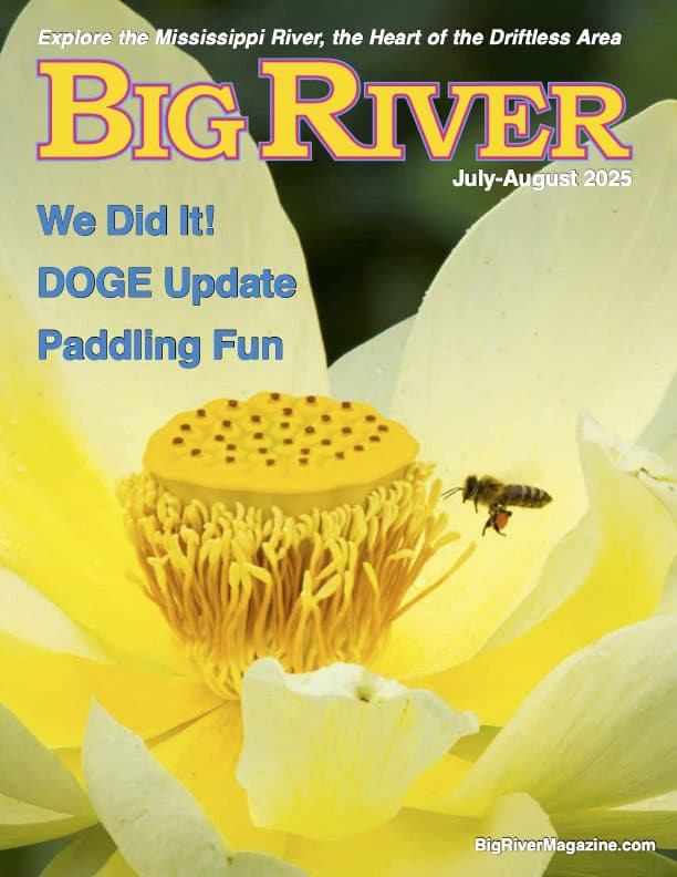 Big River #240 cover x