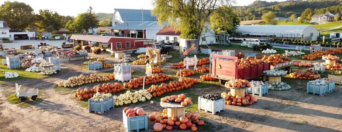 CEBTERVILLE schwertel fam farms C CEBTERVILLE schwertel fam farms C - Winona Journal