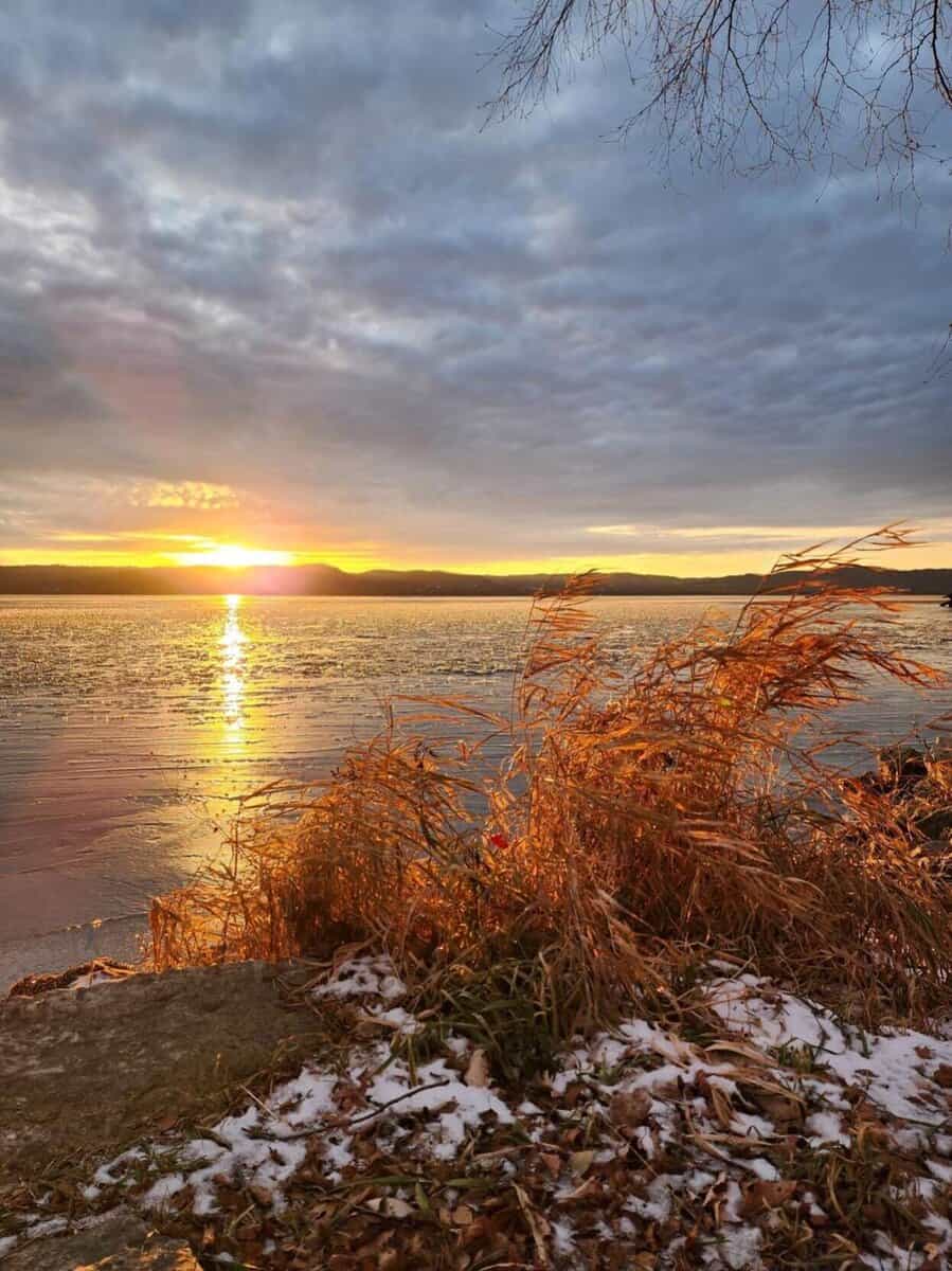 COOPER amy refuge ohoto COOPER amy refuge ohoto - Winona Journal