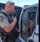 Cleo wna k-9 2021 Cleo wna k 9 2021 - Winona Journal