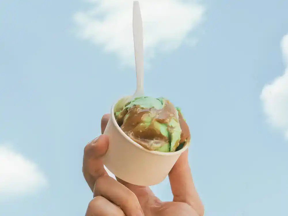 FAIR gree napple sucker ice cream - Winona Journal
