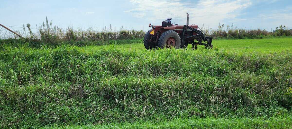 GALESVILLE lone tractor