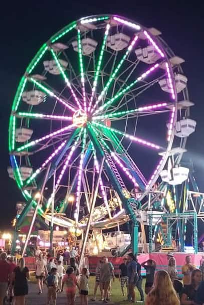 GOLD STAR AMUSEMENT cafhval