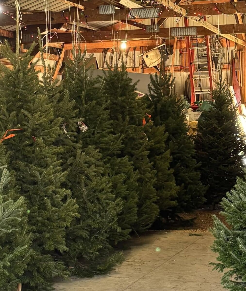 HI+OMER fred caboose tree fafm WAREHOUS HIOMER fred caboose tree fafm WAREHOUS - Winona Journal