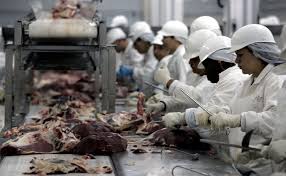 JBS meat productn limne JBS meat productn limne - Winona Journal
