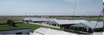 LEWSTNdaley dary farm LEWSTNdaley dary farm - Winona Journal