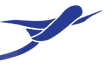 LSE airport logo LSE airport logo - Winona Journal