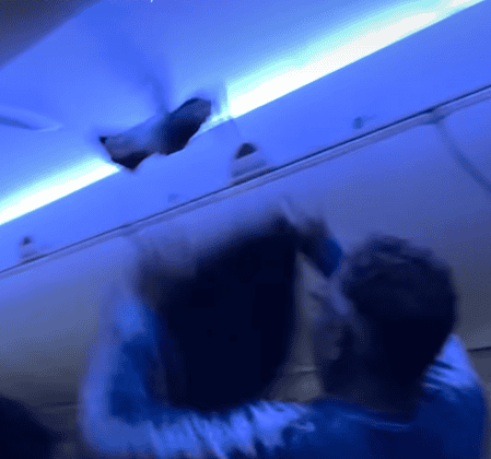 MSP pigeon on delta plane - Winona Journal