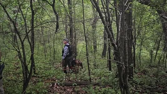 NEW HARTFORD dense forest