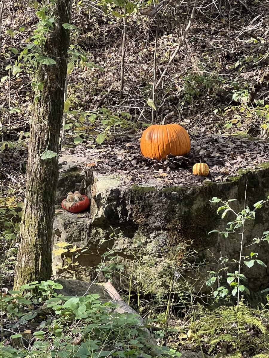 PUMPKIN ROCK eburns valle 202r PUMPKIN ROCK eburns valle 202r scaled - Winona Journal