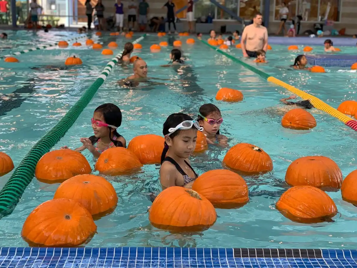 PUMPKIN pool patch - Winona Journal