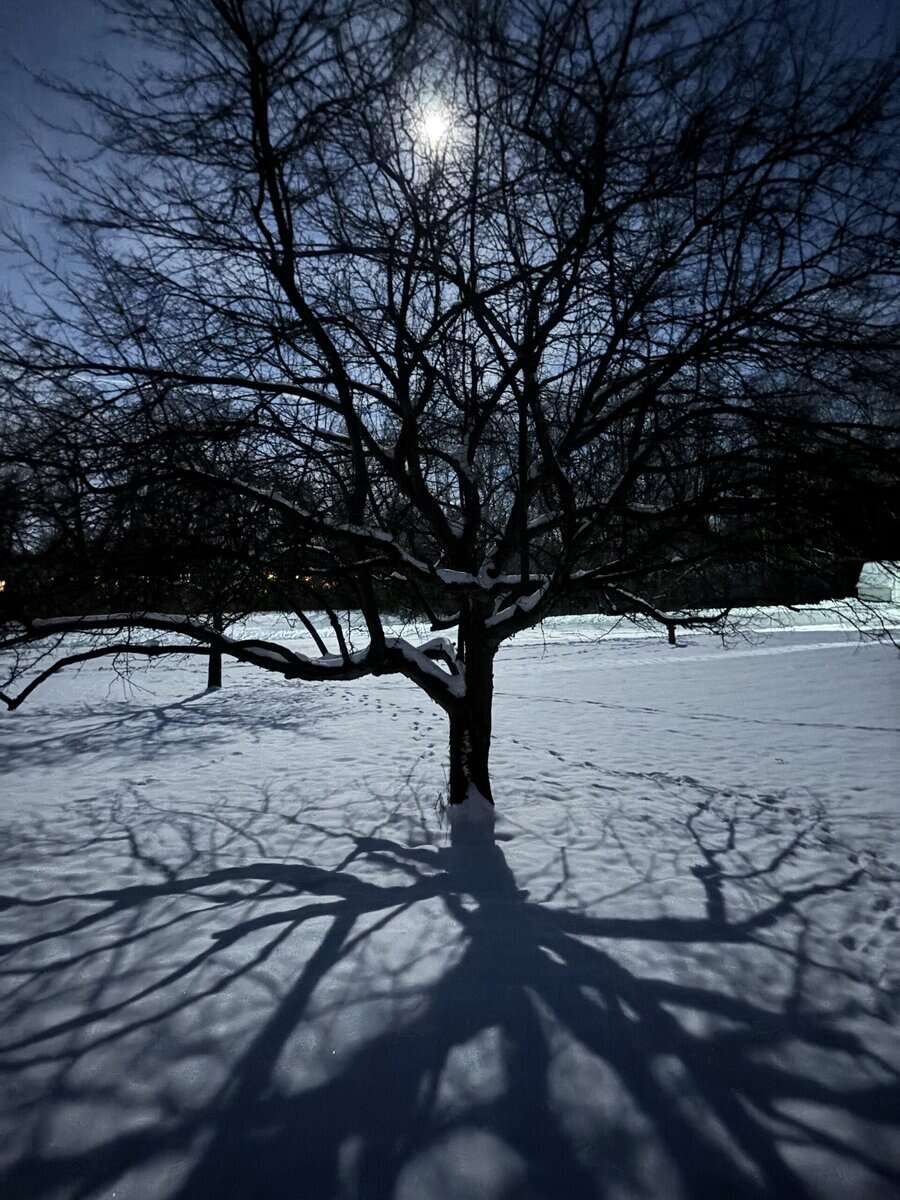SUN winter2025-12-054 kev oreily SUN winter2025 12 054 kev oreily scaled - Winona Journal