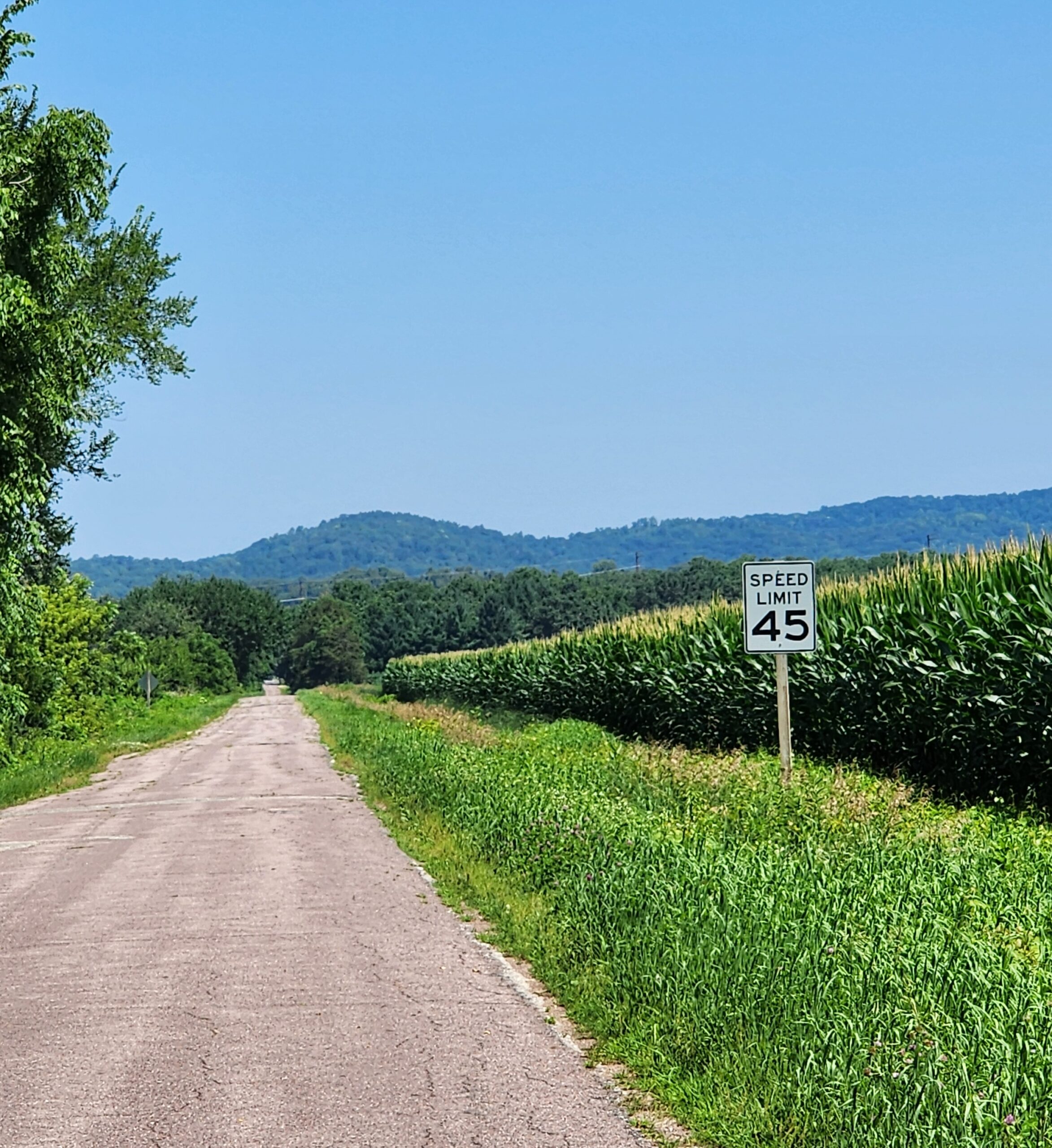 TREMP corn ENGEN ROAD 2026-07-14 TREMP corn ENGEN ROAD 2026 07 14 scaled - Winona Journal