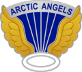 US Army 11th_Airborne Division patch