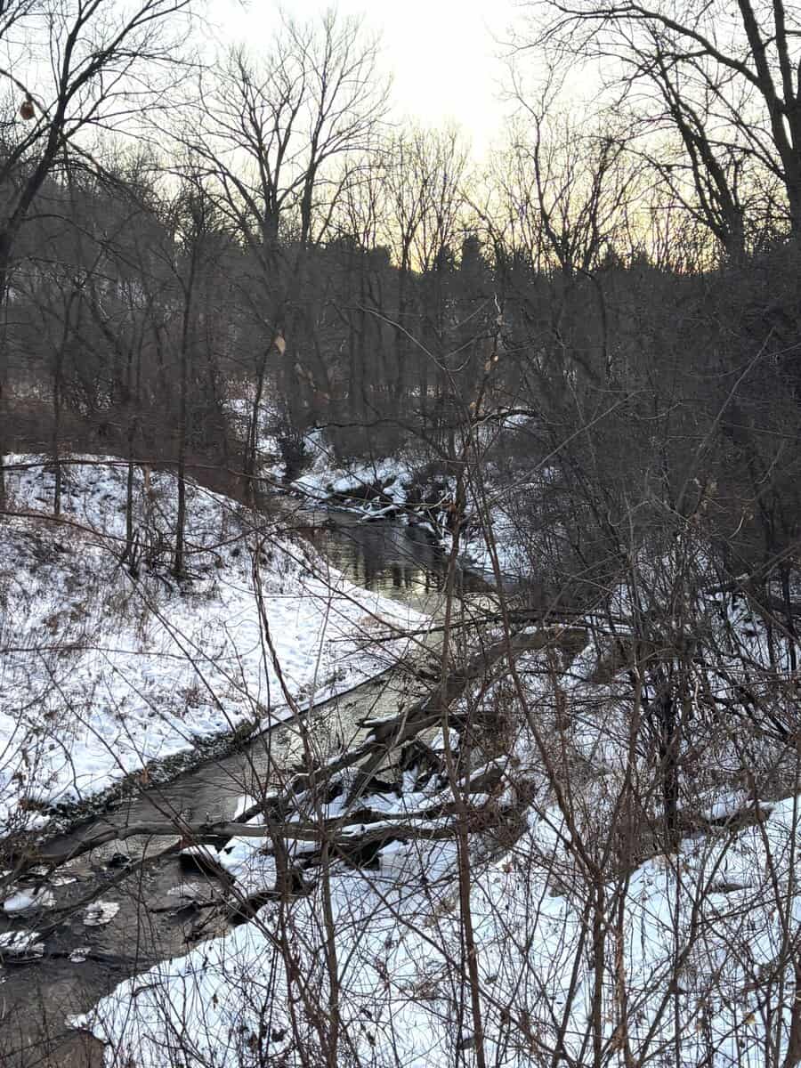 WNA burns valley creek near wna fram KEV OREILLY WNA burns valley creek near wna fram KEV OREILLY scaled - Winona Journal