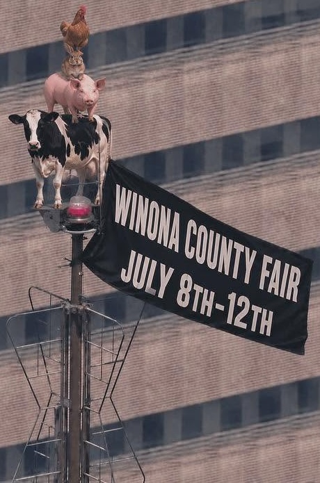 WNA fair sttaue animal 20026 WNA fair sttaue animal 20026 - Winona Journal