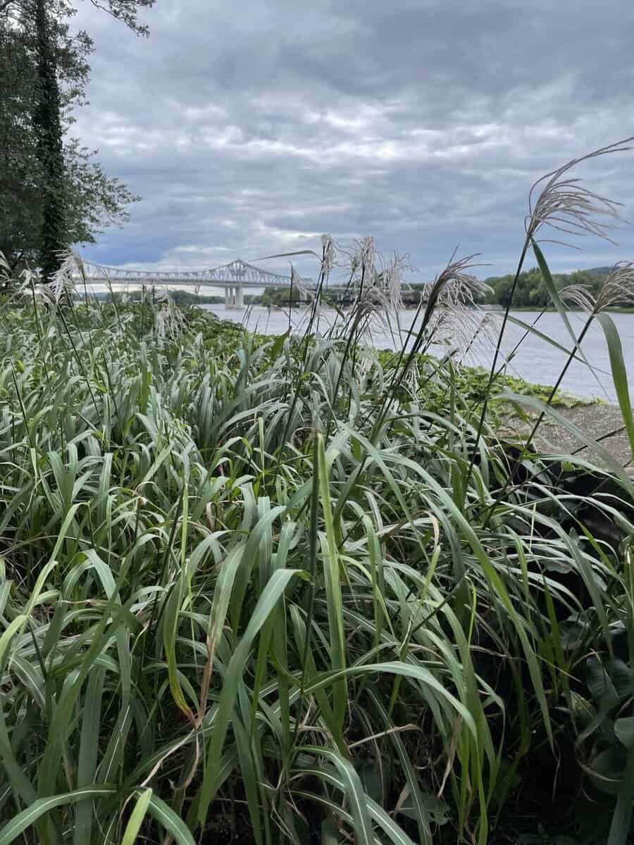 WNA levee park and bridge scaled - Winona Journal