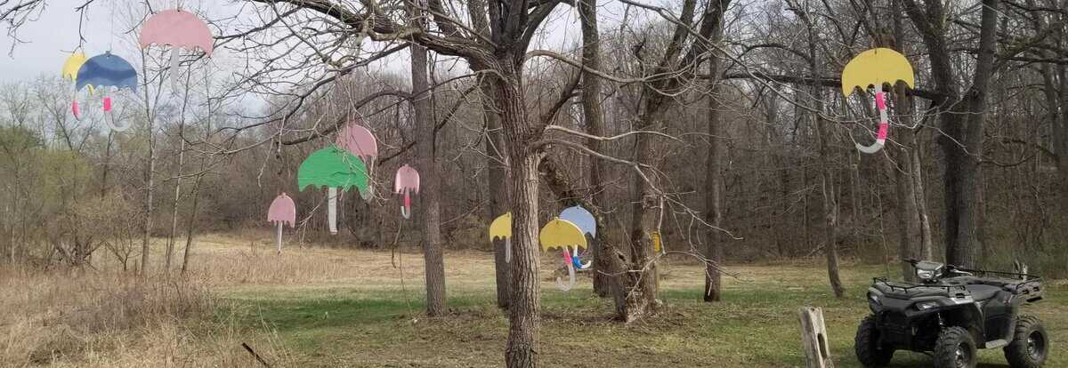 april showers in becman oak april showers in becman oak - Winona Journal