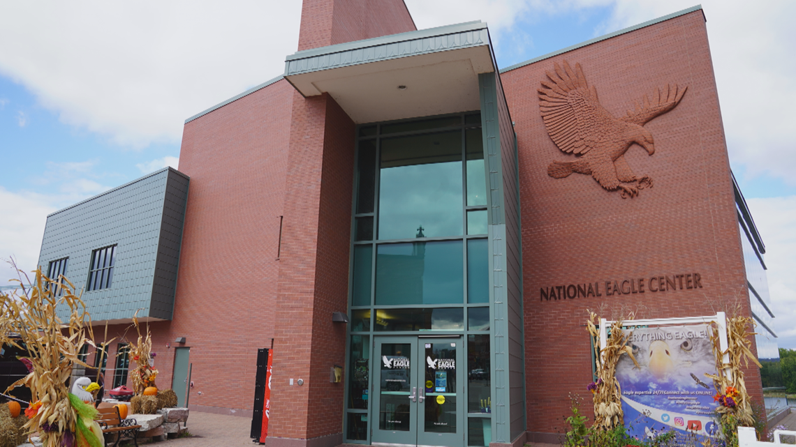 natl eagl center wasbash DXT credit Heidi Wigdahl natl eagl center wasbash DXT credit Heidi Wigdahl - Winona Journal