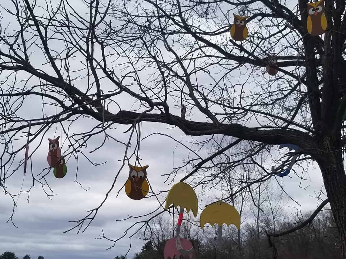 oak tree owls oak tree owls - Winona Journal
