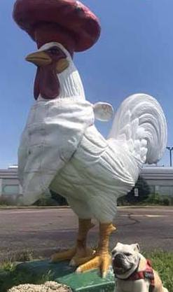 osseo wi chicken statue eatery osseo wi chicken statue eatery - Winona Journal