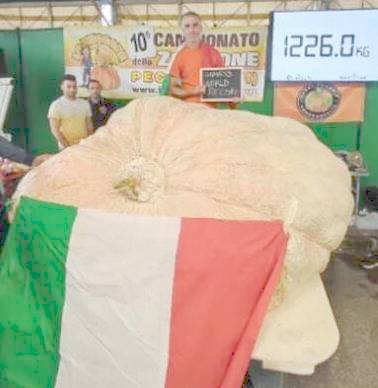 pumpkin uitay world recrd 2021